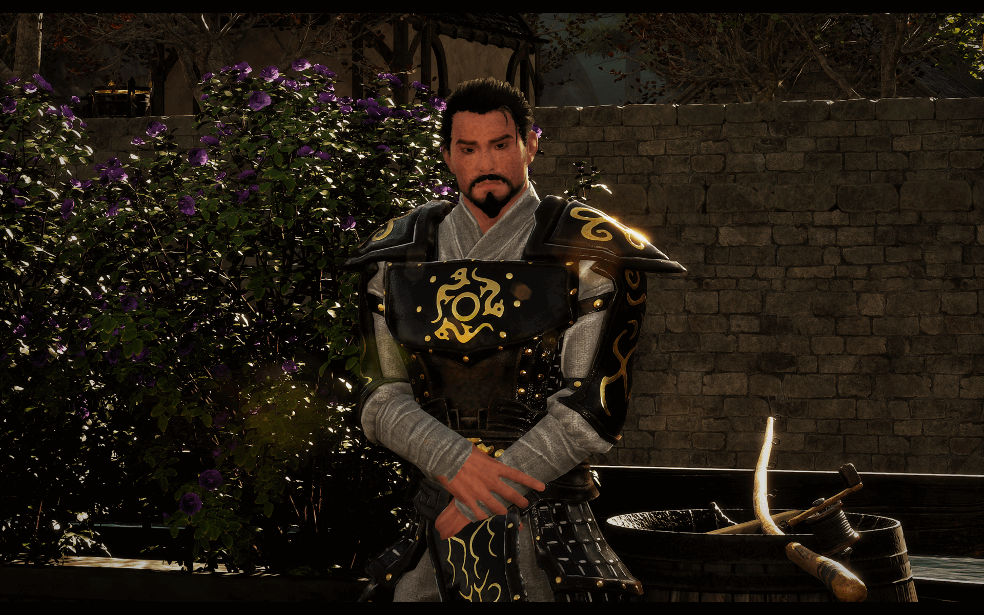 Xiahou Ling styled Jongxi portrait