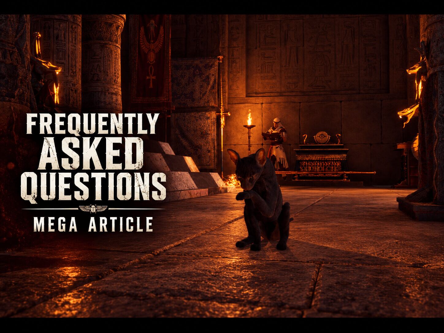 Frequently Asked Questions Mega Article
